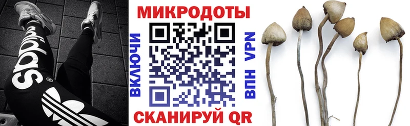 Галлюциногенные грибы мухоморы  hydra зеркало  Пошехонье 